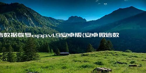 微信数据恢复appv1.9安卓版(安卓微信数据恢复App V1.9 瞬间找回被误删除的聊天记录)